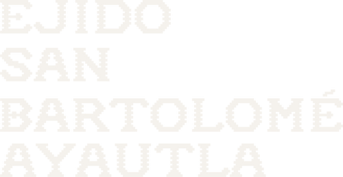 san bartolome ayautla